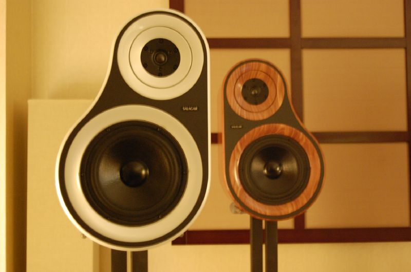 Illustration for article titled Extra Big Ass Speaker Gallery